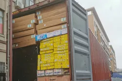 Goods shipping container