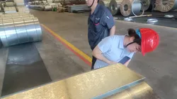 GOODS INSPECTION