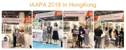 Our Exhibitions