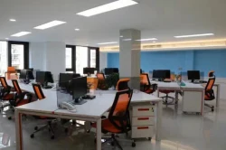 Company Culture
