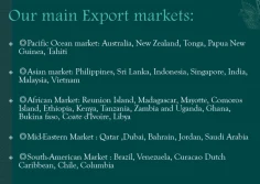 Our Markets