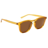 Hot Sales Sunglasses