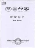 Testing Report