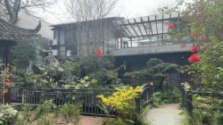 Garden display