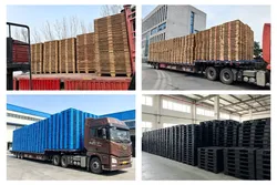 Large Inventory | Stable Supply Capacity
