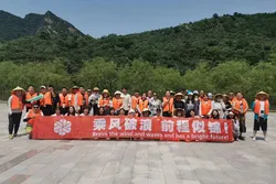 Our team