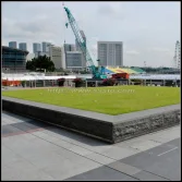 Project in Singapore