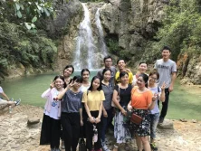 Sales Team