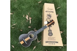 Real photo for ukulele
