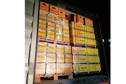Goods shipping container