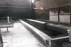 Process Services