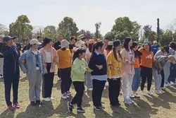 Company Activity