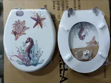 Packaging and Transportation
