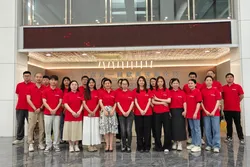 Sales Team