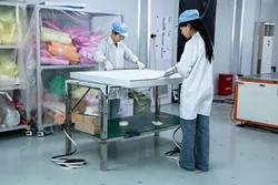 Our Factory