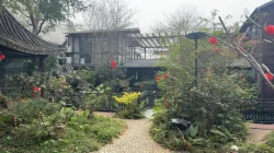 Garden display