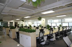 Nice office