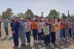 Company Activity