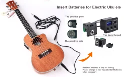 Real photo for ukulele