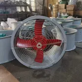 fan