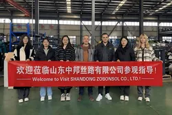 Customer Factory Visit and Business Cooperation