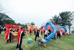 Company Activity