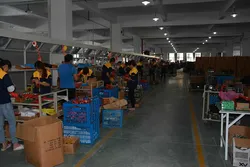 COMPANY