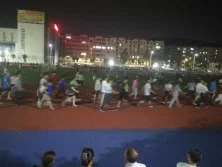 Company Activity