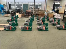 Latest Shipments Showcase