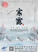 Festival