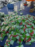 Mass Goods Delivery
