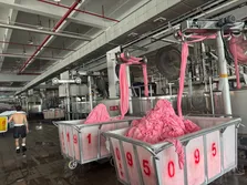 dyeing mill