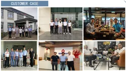 Collaboration case