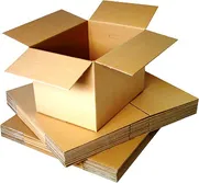 Cardboard & Carton