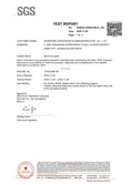 SGS Test Report