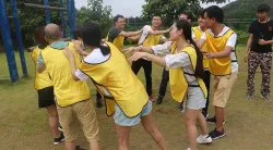 Team building activities