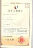 Patent
