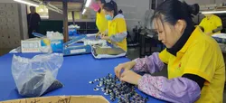 Factory Show