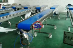 Special Designed&Customized Conveyors for Customers