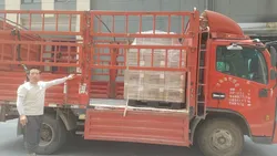 Packaging and transportation