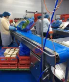 Machine Working at Client's Factory