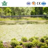 Chain Link Fence