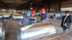 GOODS INSPECTION