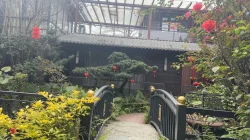 Garden display