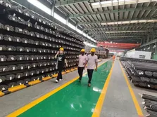 CUSTOMER VISITING