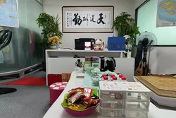 Company Activity&Our Team