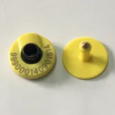 ICAR EAR TAG