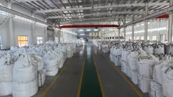 View of Plant
