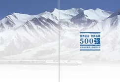 Company Brochure