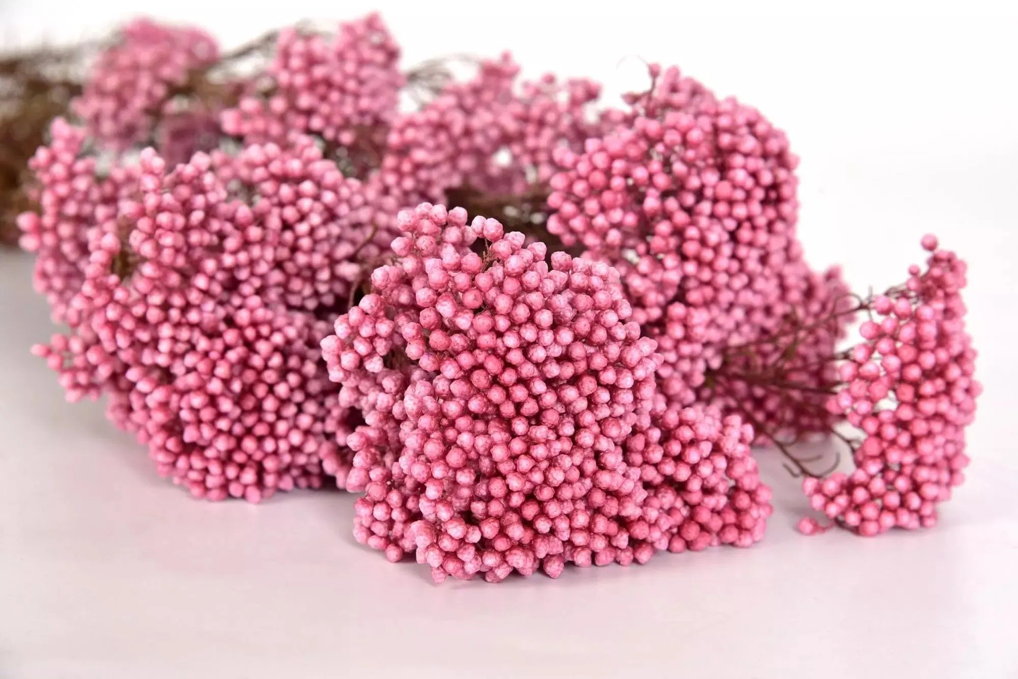 Low Price Preserved Flower Rice Flower Brides Flower Bouquet for Home Decoration